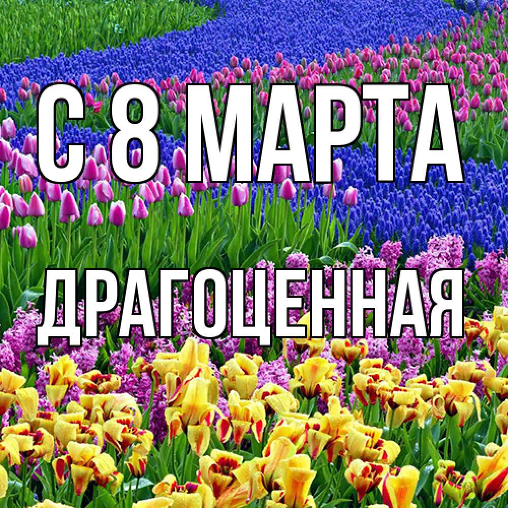 Открытка на каждый день с именем, Драгоценная C 8 МАРТА цветы Прикольная открытка с пожеланием онлайн скачать бесплатно 