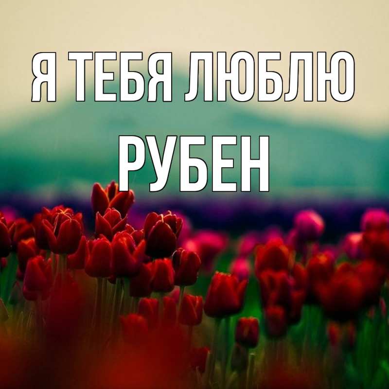 Картинка Я тебя люблю, Рубен