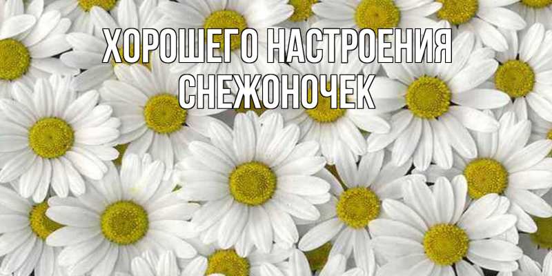 Картинка Хорошего настроения, Снежоночек