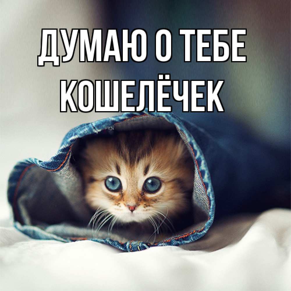 Открытка на каждый день с именем, кошелёчек Думаю о тебе мне без тебя плохо Прикольная открытка с пожеланием онлайн скачать бесплатно 