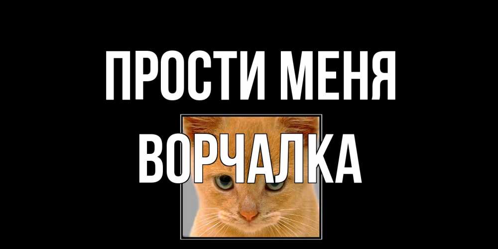 Открытка на каждый день с именем, Ворчалка Прости меня рыжий грустный кот просит прощения Прикольная открытка с пожеланием онлайн скачать бесплатно 