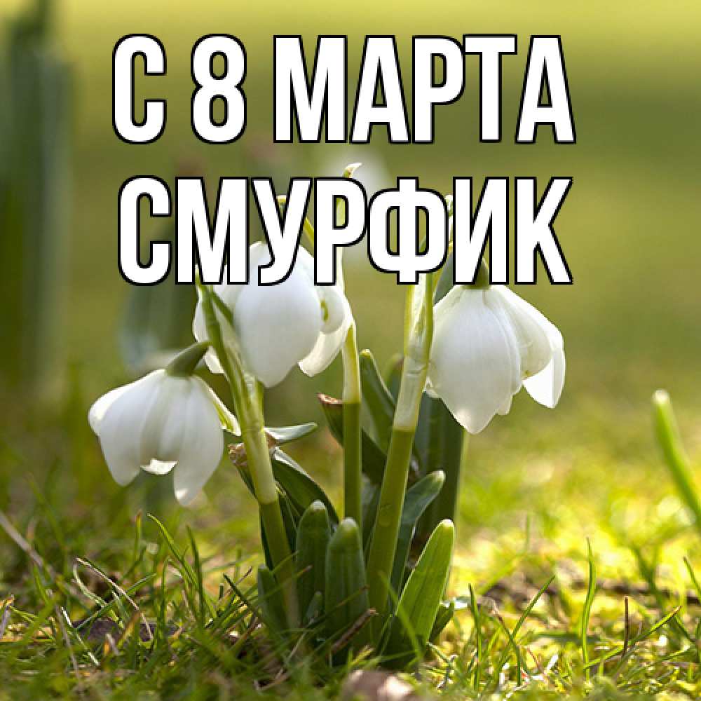 Открытка на каждый день с именем, Смурфик C 8 МАРТА ранние цветы 2 Прикольная открытка с пожеланием онлайн скачать бесплатно 