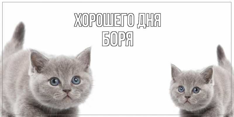 Картинка Хорошего дня, Боря