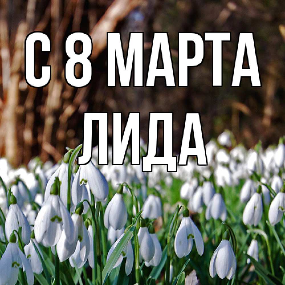 Открытка на каждый день с именем, Лида C 8 МАРТА с подснежниками 1 Прикольная открытка с пожеланием онлайн скачать бесплатно 