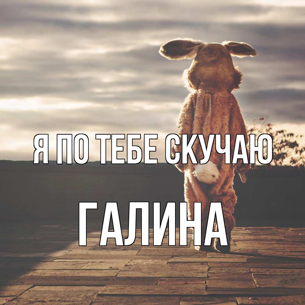 Открытка на каждый день с именем, галина Я по тебе скучаю даже в костюме зайца Прикольная открытка с пожеланием онлайн скачать бесплатно 
