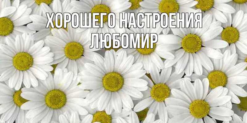 Картинка Хорошего настроения, Любомир