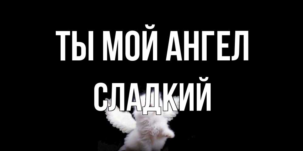 Открытка на каждый день с именем, Сладкий Ты мой ангел Кот ангел Прикольная открытка с пожеланием онлайн скачать бесплатно 