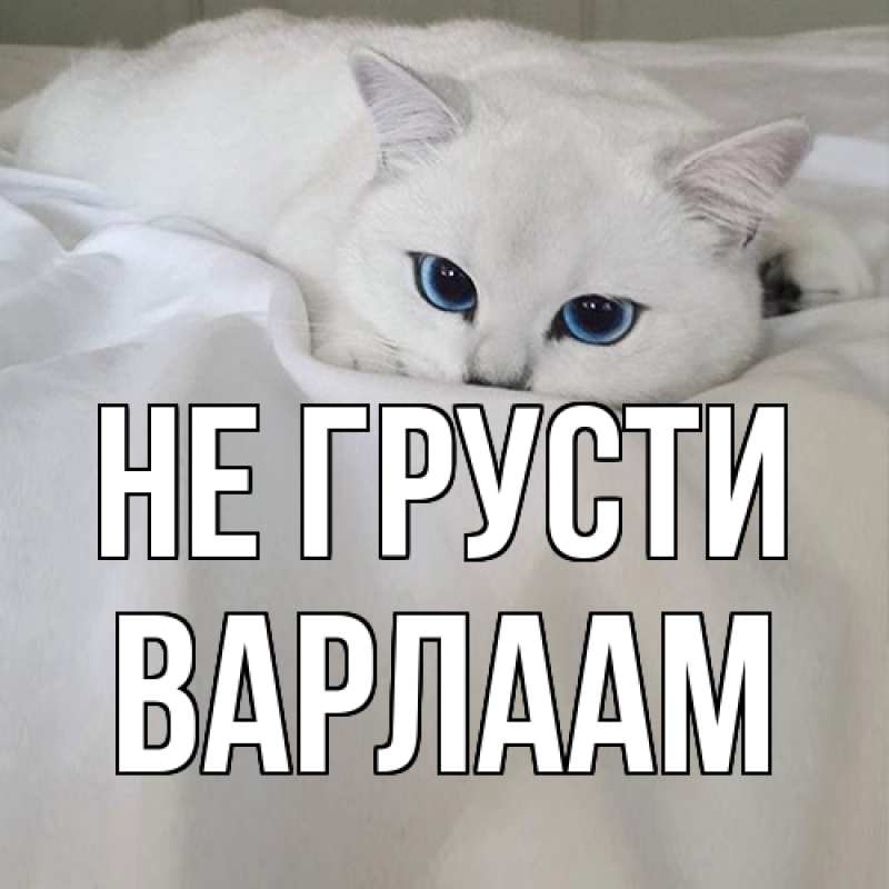 Картинка Не грусти, Варлаам