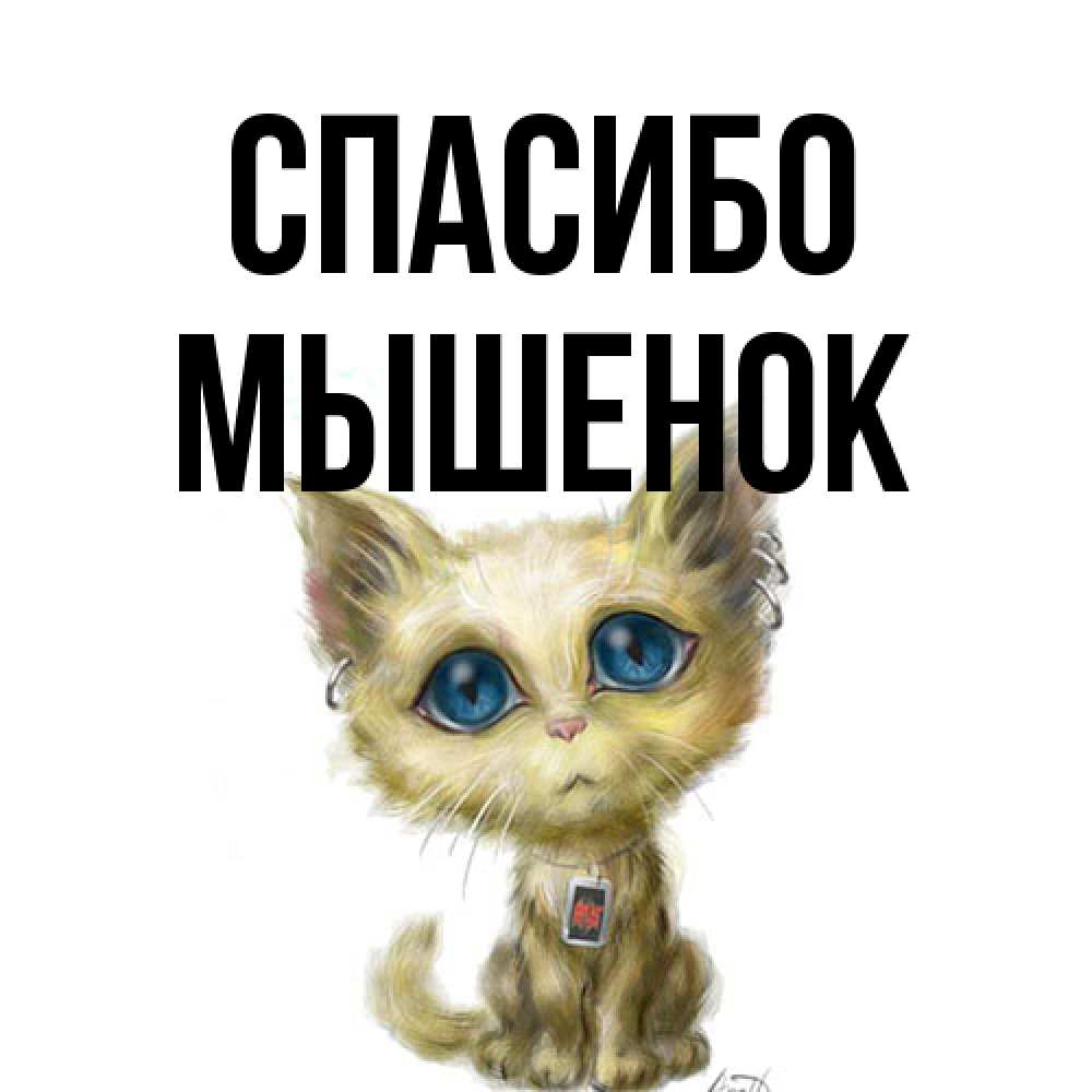 Открытка на каждый день с именем, Мышенок Спасибо рисованный кот благодарит вас Прикольная открытка с пожеланием онлайн скачать бесплатно 