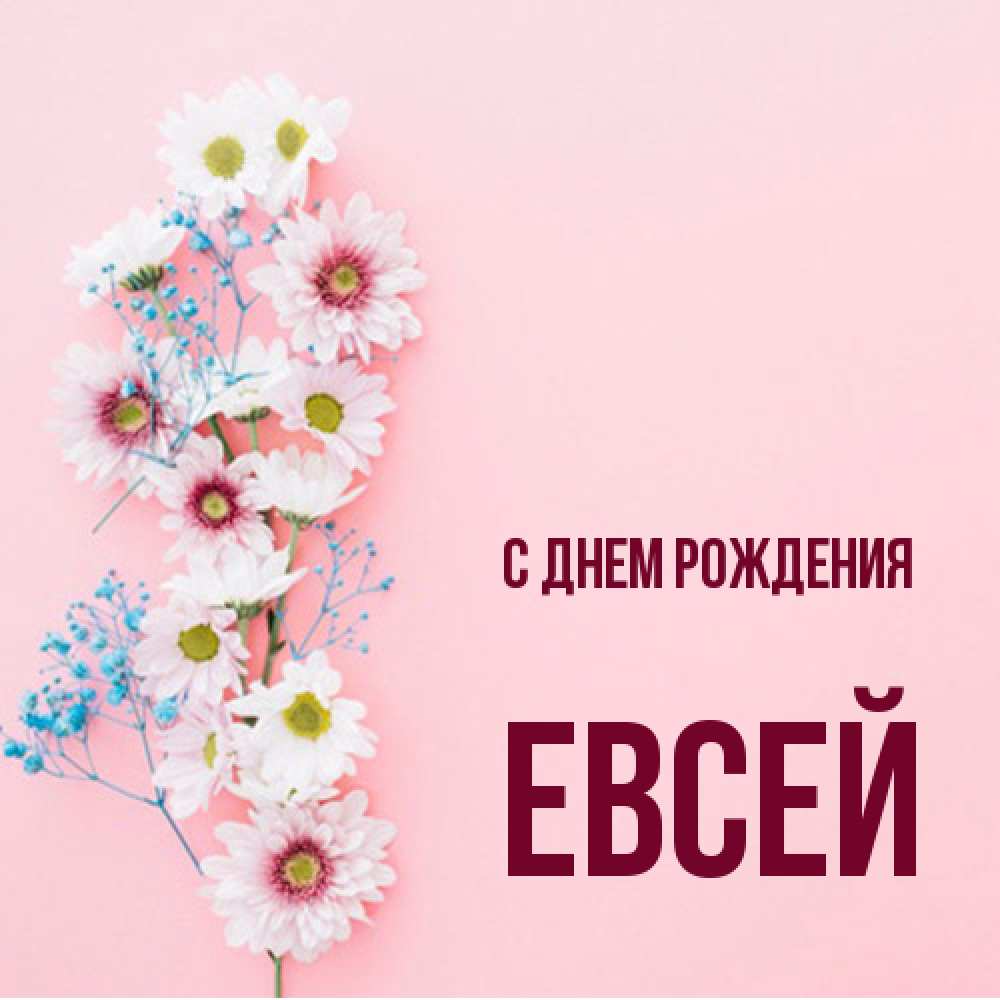 Открытка на каждый день с именем, Евсей С днем рождения Родная моя с днем рождения тебя картинка с цветами белыми и голубыми Прикольная открытка с пожеланием онлайн скачать бесплатно 