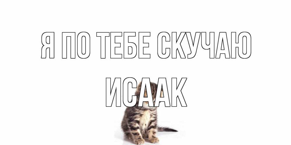 Открытка на каждый день с именем, Исаак Я по тебе скучаю кот Прикольная открытка с пожеланием онлайн скачать бесплатно 