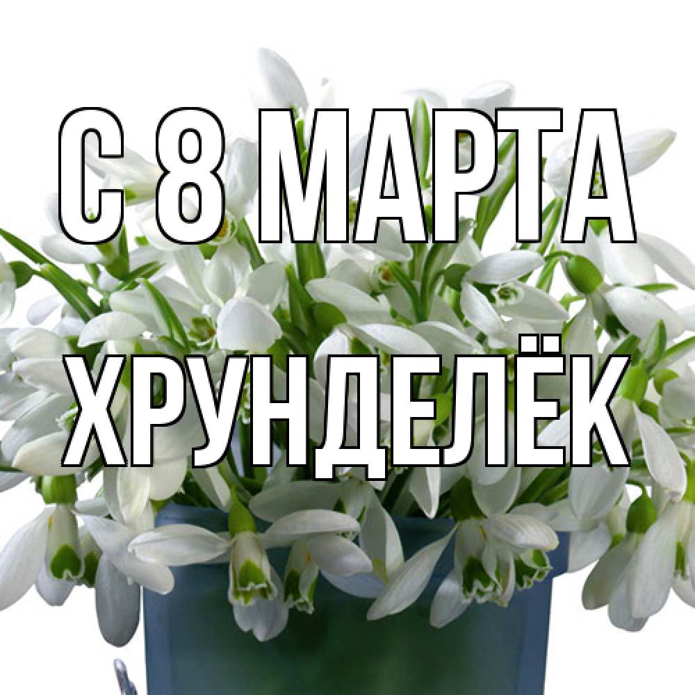 Открытка на каждый день с именем, Хрунделёк C 8 МАРТА цветы к международному женскому дню Прикольная открытка с пожеланием онлайн скачать бесплатно 