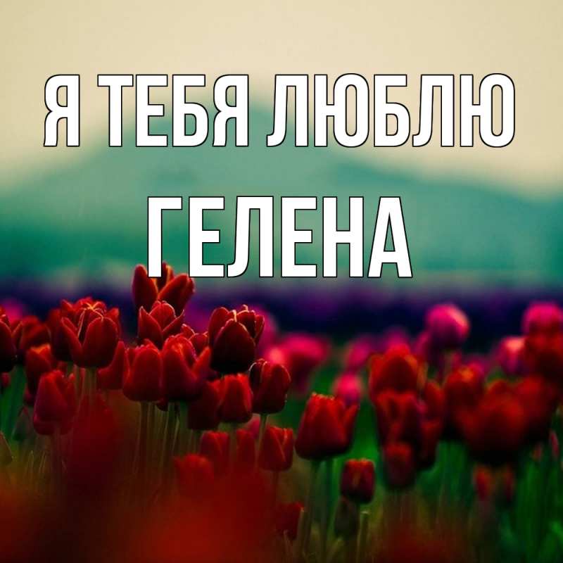 Открытка с именем, Гелена, Я тебя люблю
