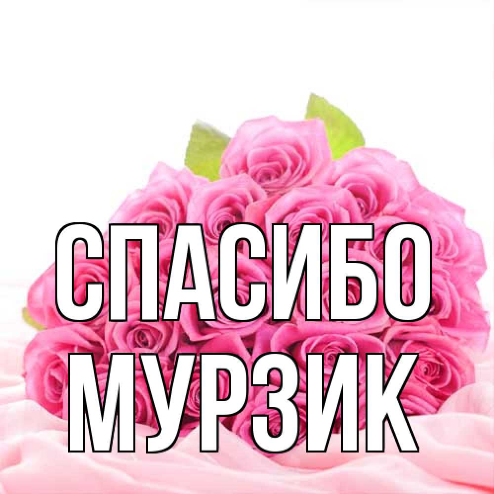 Открытка на каждый день с именем, Муpзик Спасибо розовые розы с подписью Прикольная открытка с пожеланием онлайн скачать бесплатно 