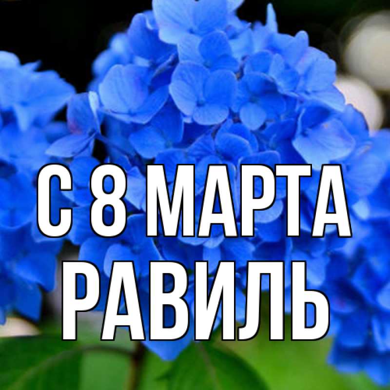 Картинка C 8 МАРТА, Равиль