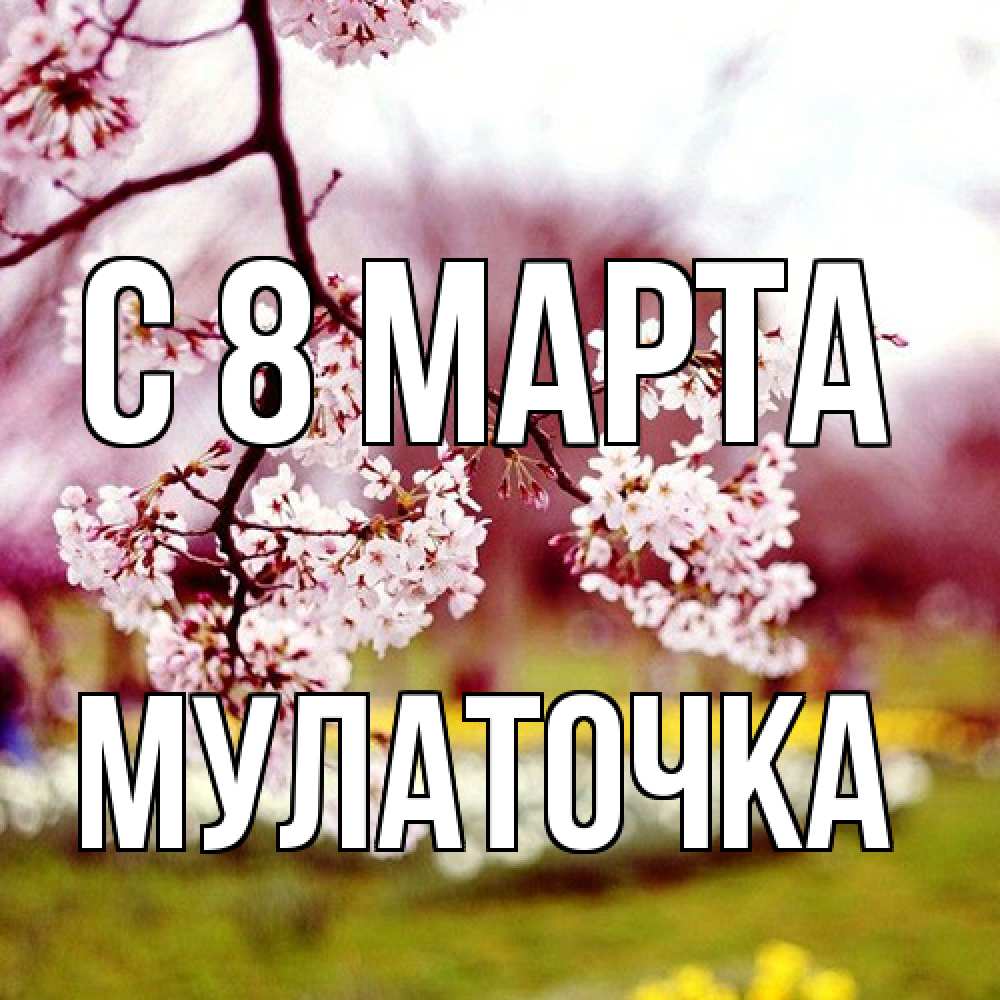 Открытка на каждый день с именем, Мулаточка C 8 МАРТА яблоня Прикольная открытка с пожеланием онлайн скачать бесплатно 