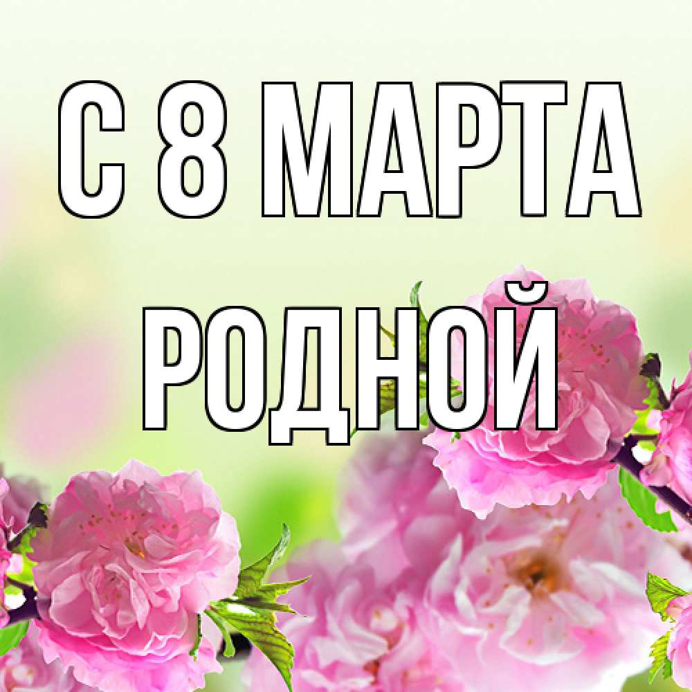 Открытка на каждый день с именем, Родной C 8 МАРТА цветы Прикольная открытка с пожеланием онлайн скачать бесплатно 