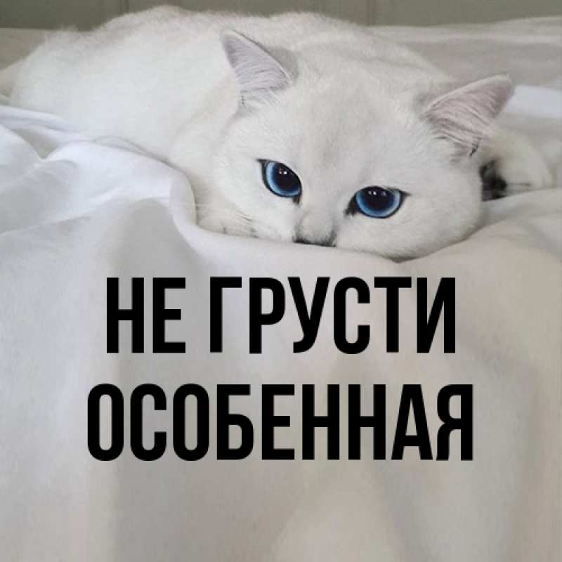 Картинка Не грусти, Особенная