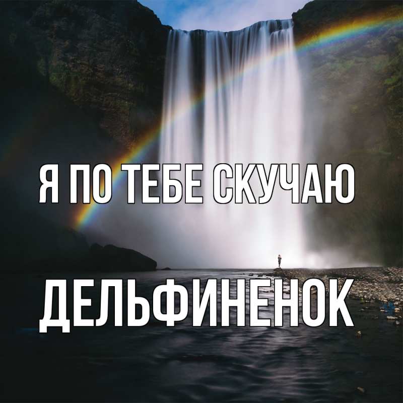 Картинка Я по тебе скучаю, дельфиненок