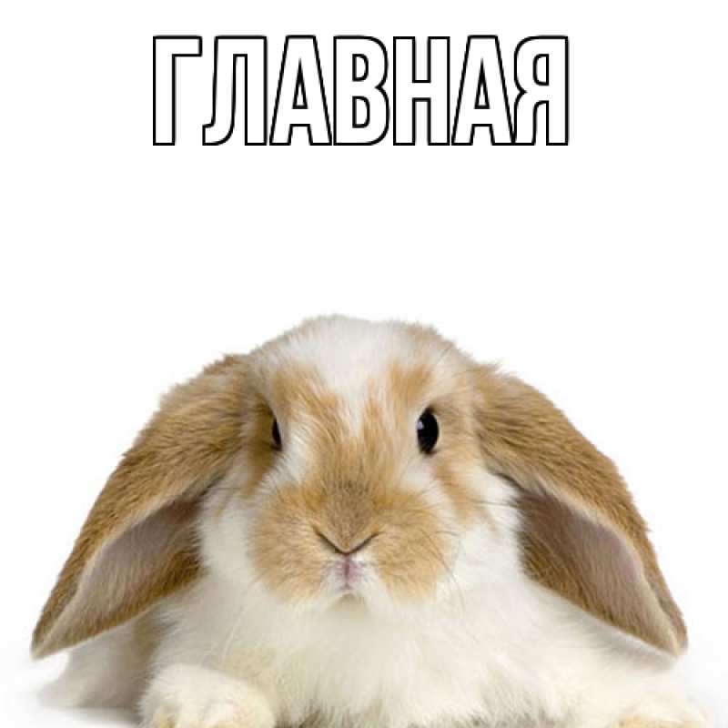 Картинка  с именем , Анна