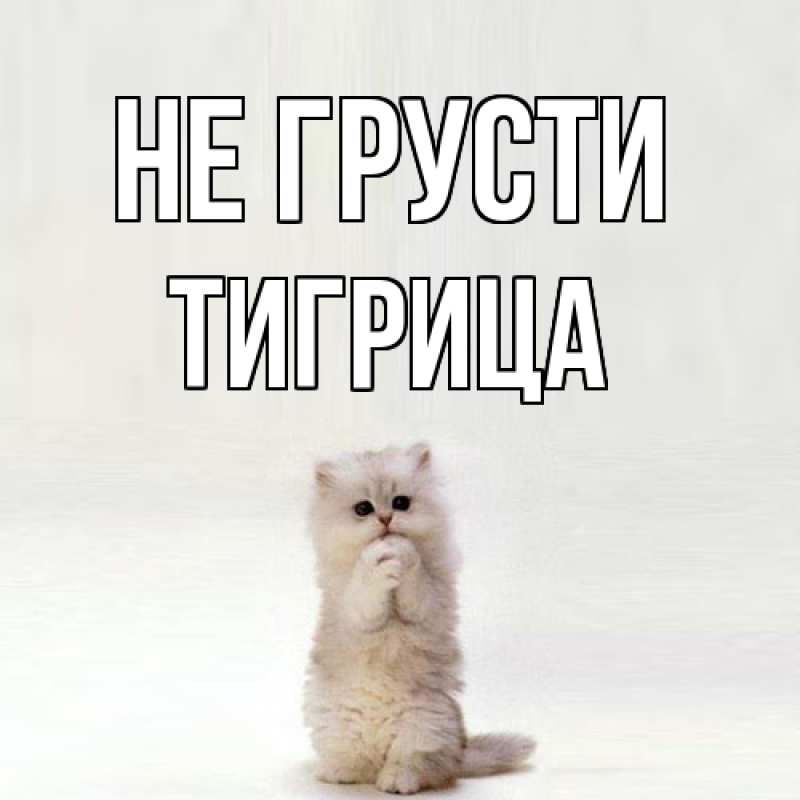 Картинка Не грусти, Тигрица