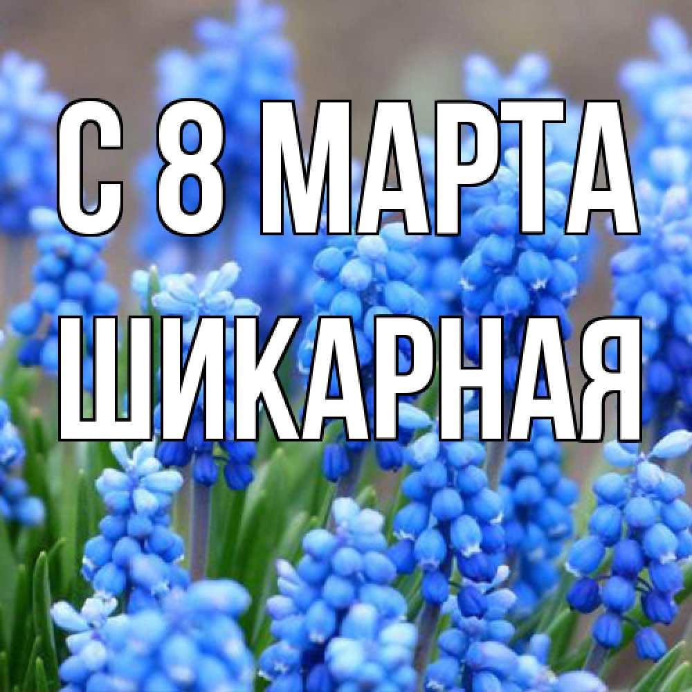 Открытка на каждый день с именем, шикарная C 8 МАРТА Поздравительная открытка для женщин с цветами на праздничную дату Прикольная открытка с пожеланием онлайн скачать бесплатно 