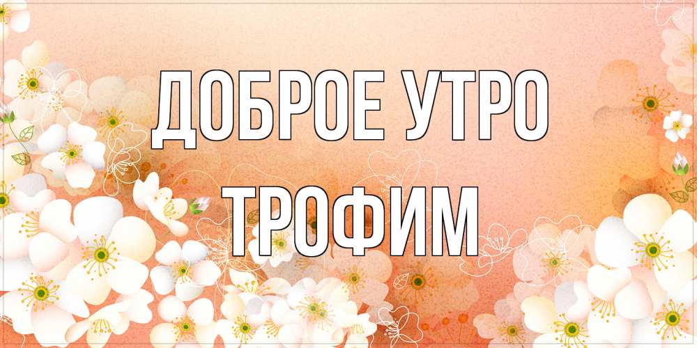 Открытка на каждый день с именем, Трофим Доброе утро доброе утро с цветами Прикольная открытка с пожеланием онлайн скачать бесплатно 