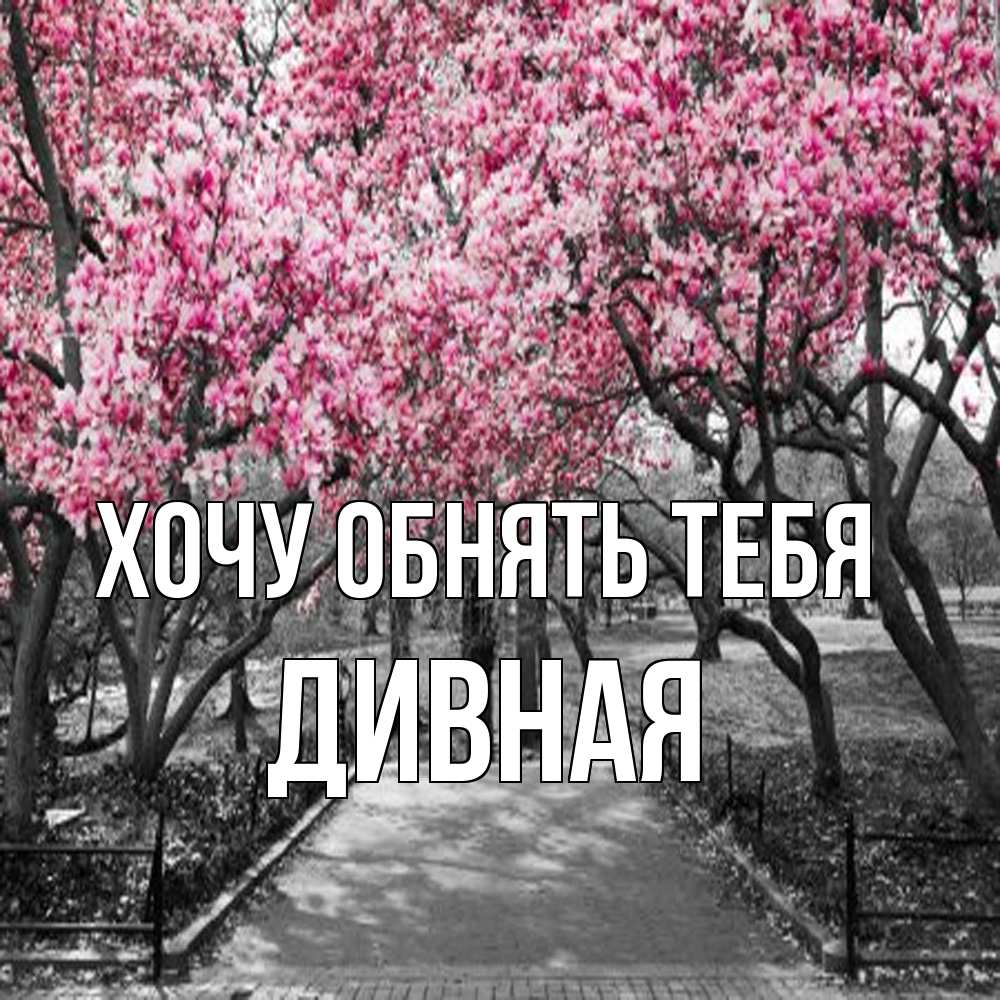 Открытка на каждый день с именем, дивная Хочу обнять тебя обработанное фото Прикольная открытка с пожеланием онлайн скачать бесплатно 