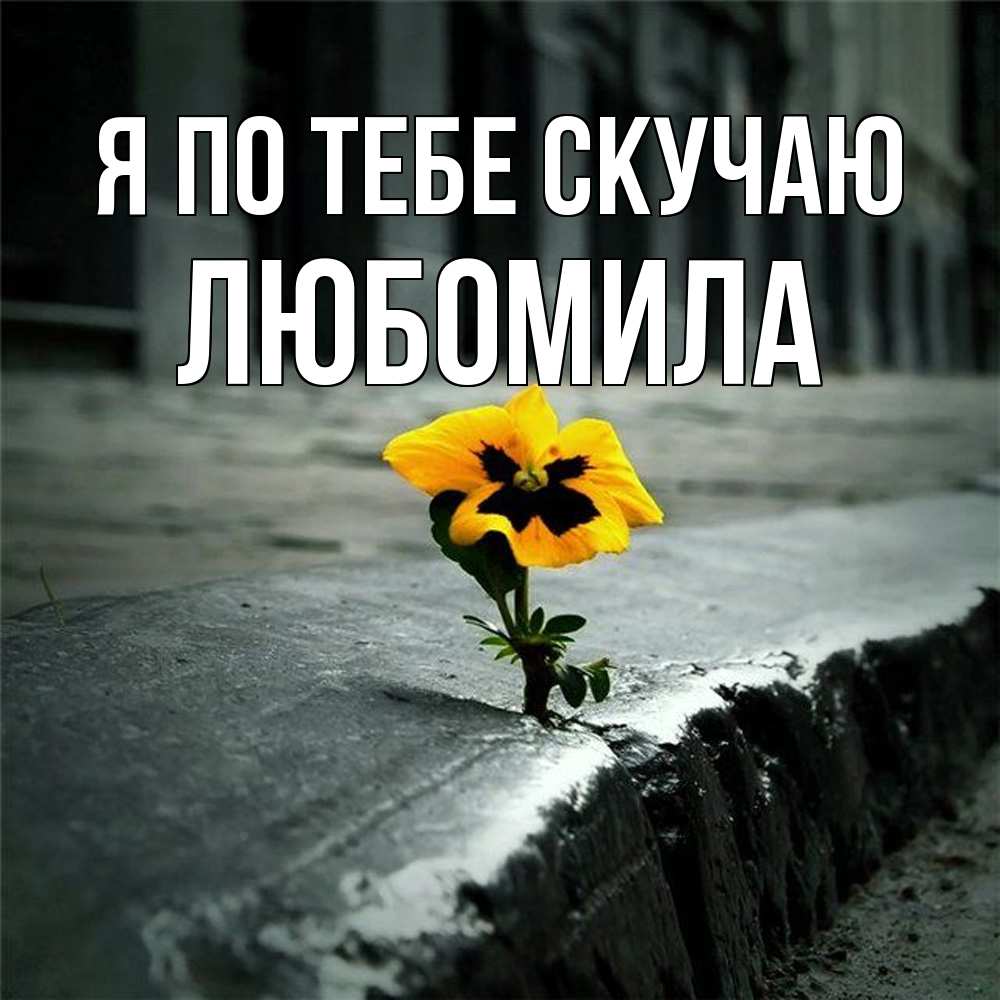 Открытка на каждый день с именем, Любомила Я по тебе скучаю надеюсь будет лучше Прикольная открытка с пожеланием онлайн скачать бесплатно 