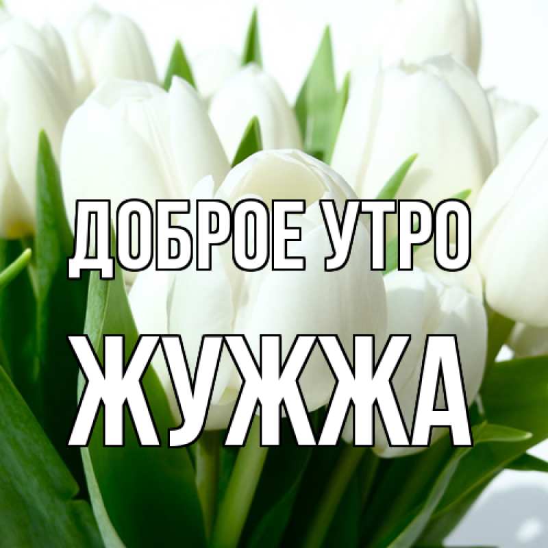 Картинка Доброе утро, Жужжа