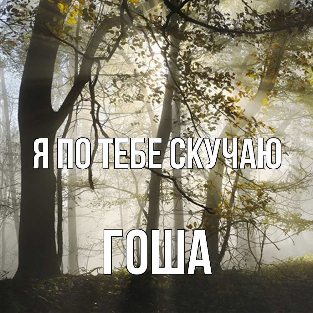 Открытка на каждый день с именем, Гоша Я по тебе скучаю грустно Прикольная открытка с пожеланием онлайн скачать бесплатно 