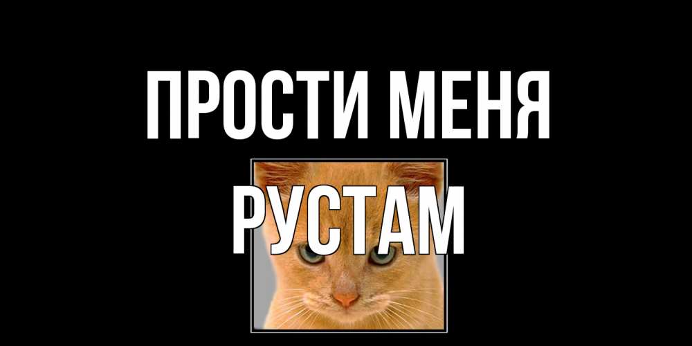 Открытка на каждый день с именем, Рустам Прости меня рыжий грустный кот просит прощения Прикольная открытка с пожеланием онлайн скачать бесплатно 
