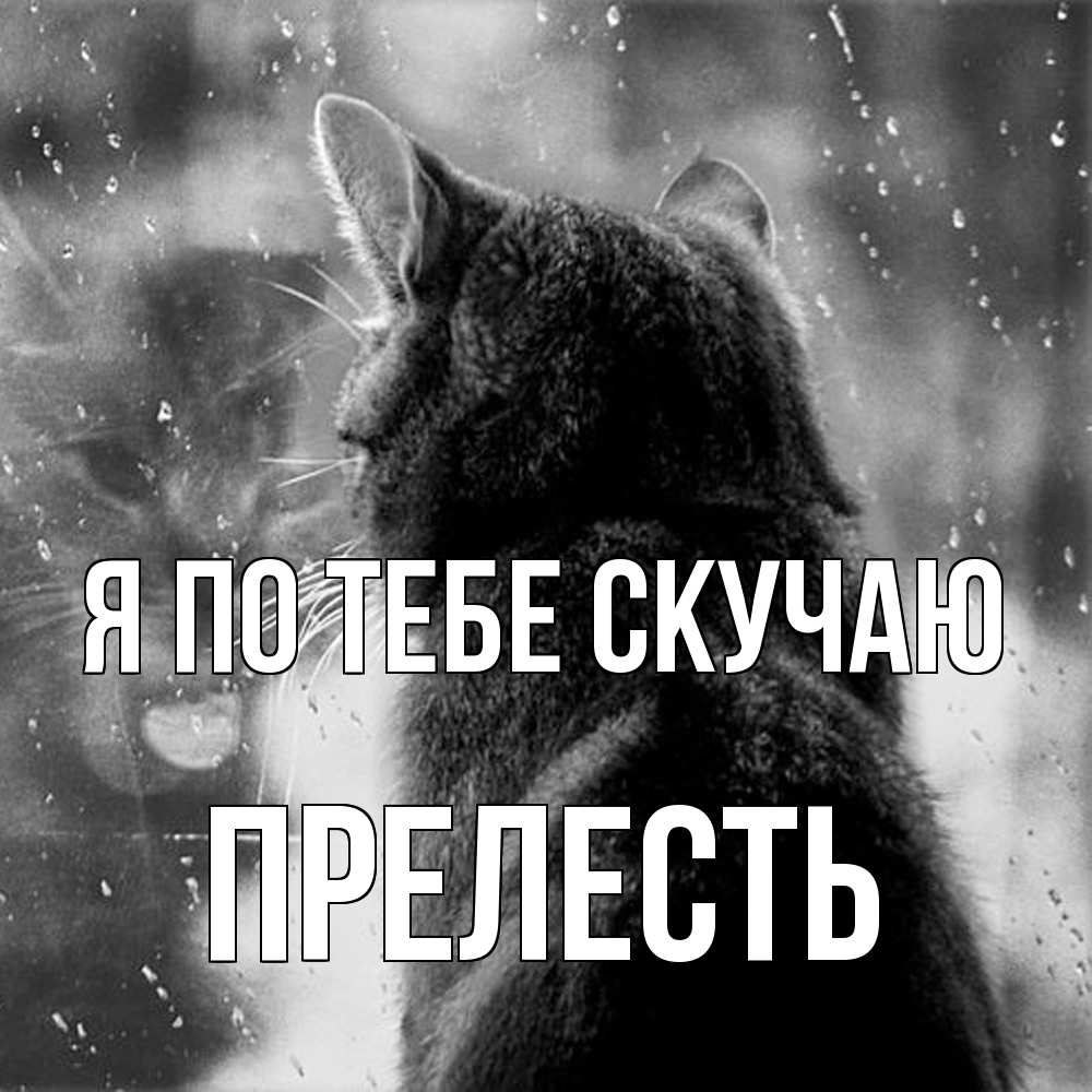 Открытка на каждый день с именем, прелесть Я по тебе скучаю скорее ко мне приходи 1 Прикольная открытка с пожеланием онлайн скачать бесплатно 