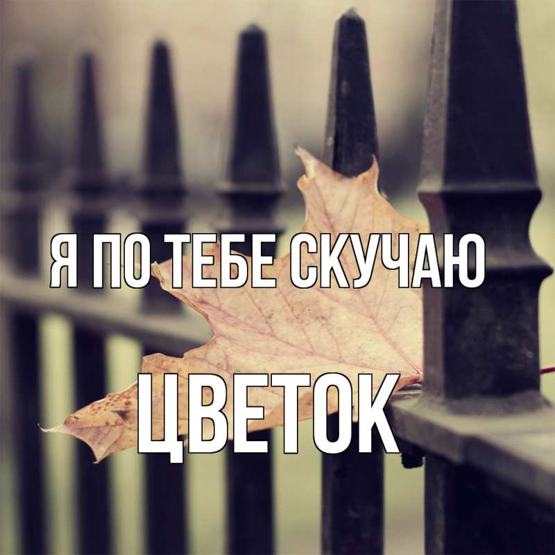 Картинка Я по тебе скучаю, Цветок