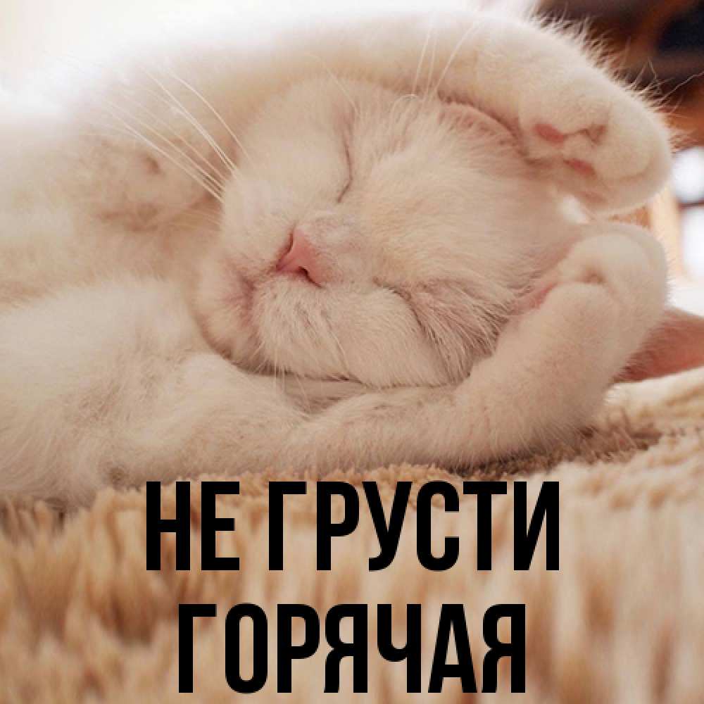 Открытка на каждый день с именем, горячая Не грусти Котенок спит Прикольная открытка с пожеланием онлайн скачать бесплатно 