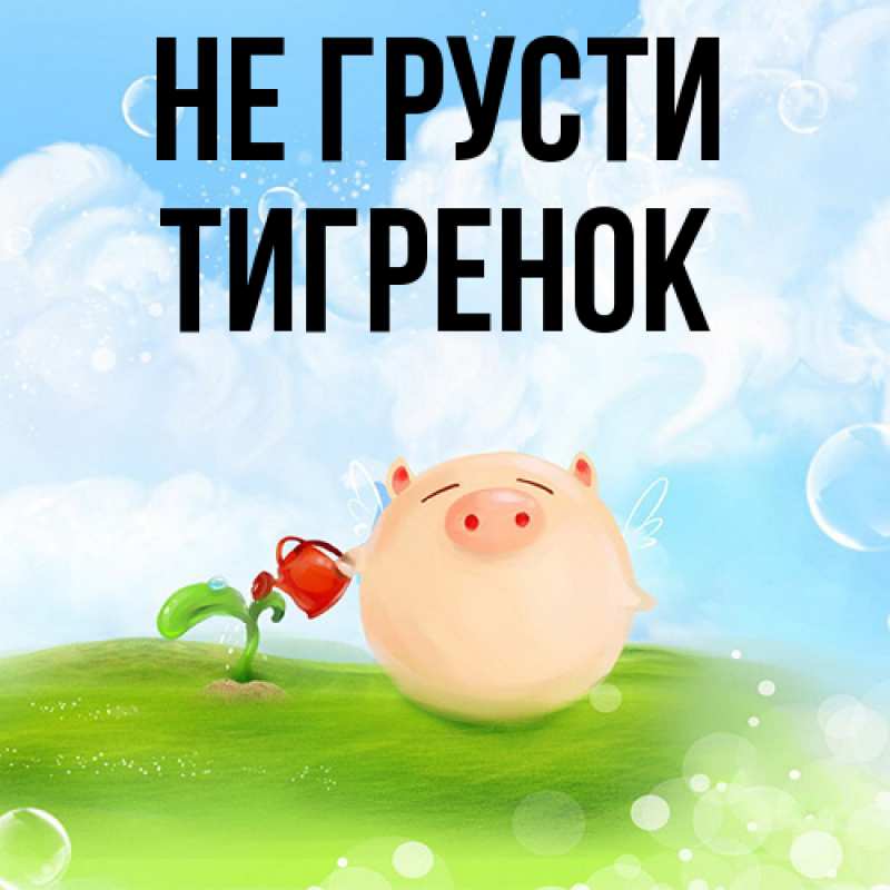Картинка Не грусти, Тигpенок