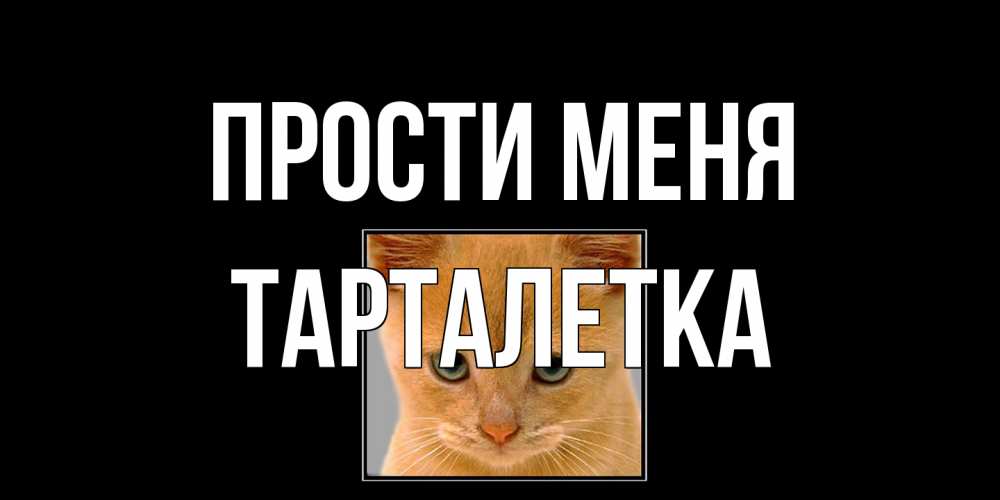 Открытка на каждый день с именем, Тарталетка Прости меня рыжий грустный кот просит прощения Прикольная открытка с пожеланием онлайн скачать бесплатно 