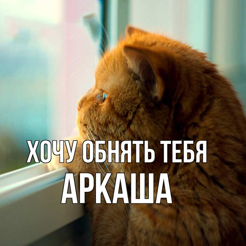 Картинка Хочу обнять тебя, Аркаша