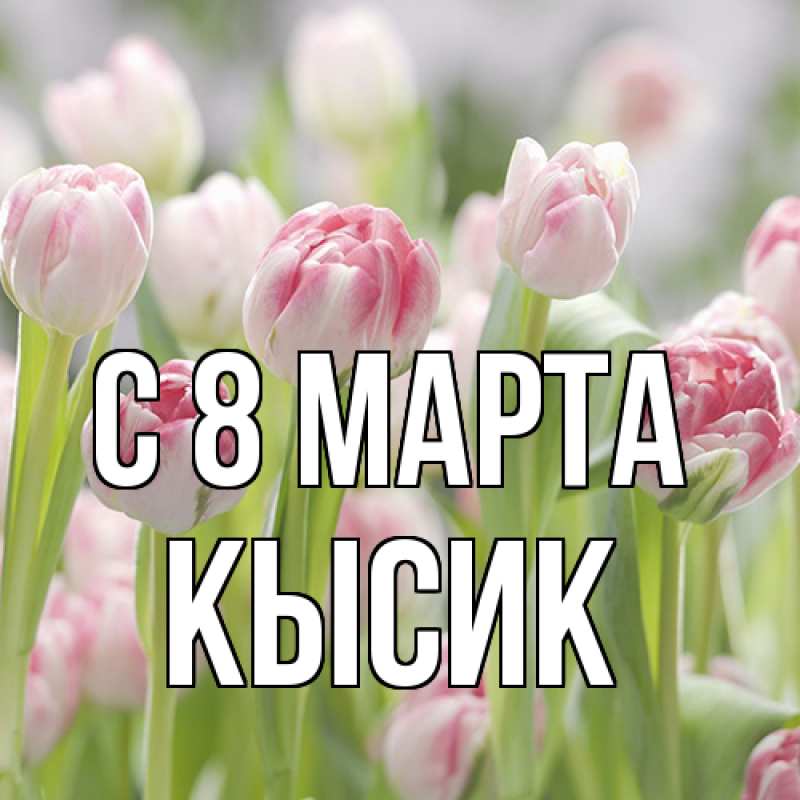 Картинка C 8 МАРТА, Кысик