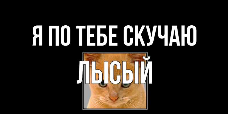 Картинка Я по тебе скучаю, Лысый