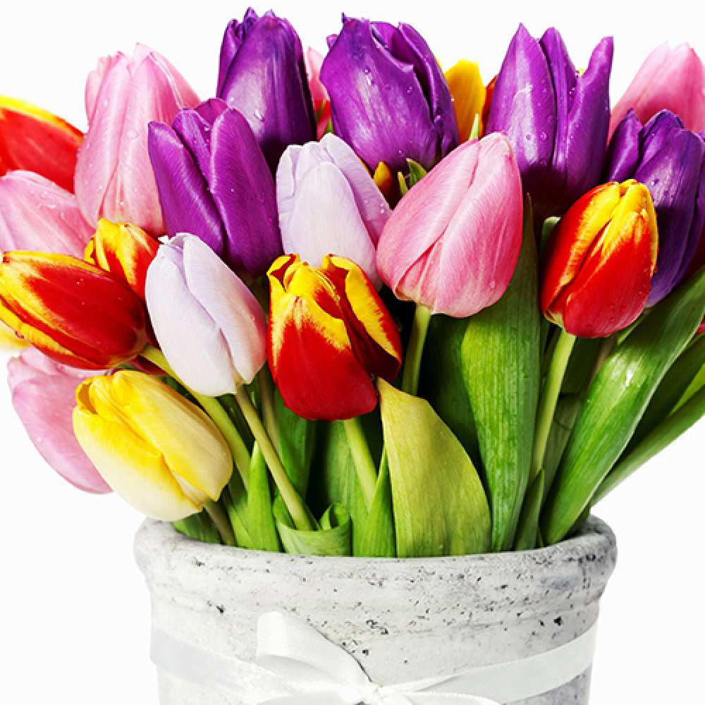 Открытка на каждый день с именем, Енотик C 8 МАРТА букет Прикольная открытка с пожеланием онлайн скачать бесплатно 