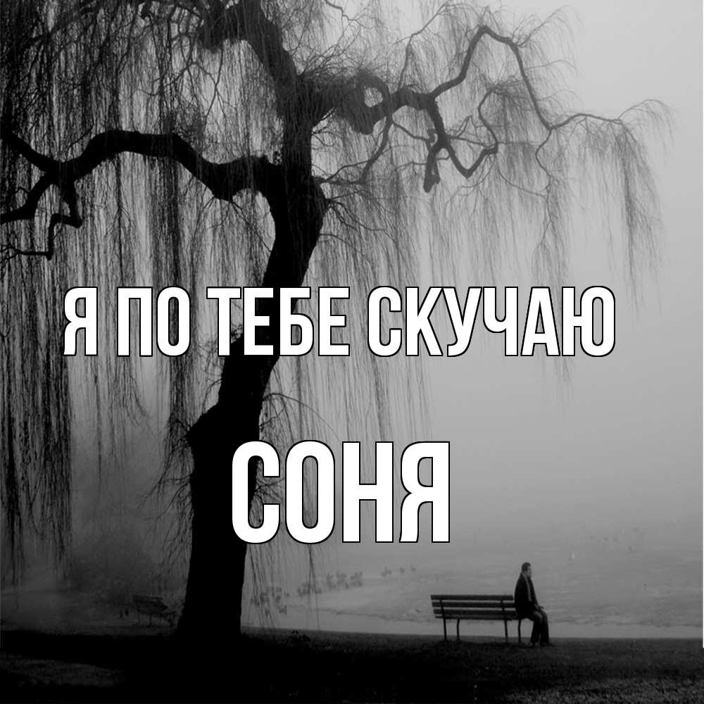 Открытка на каждый день с именем, Соня Я по тебе скучаю лавочка под деревом я жду тебя Прикольная открытка с пожеланием онлайн скачать бесплатно 