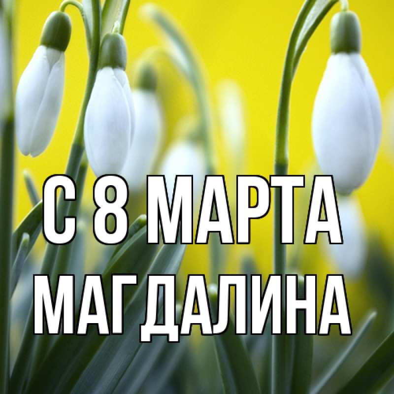 Картинка C 8 МАРТА, Магдалина