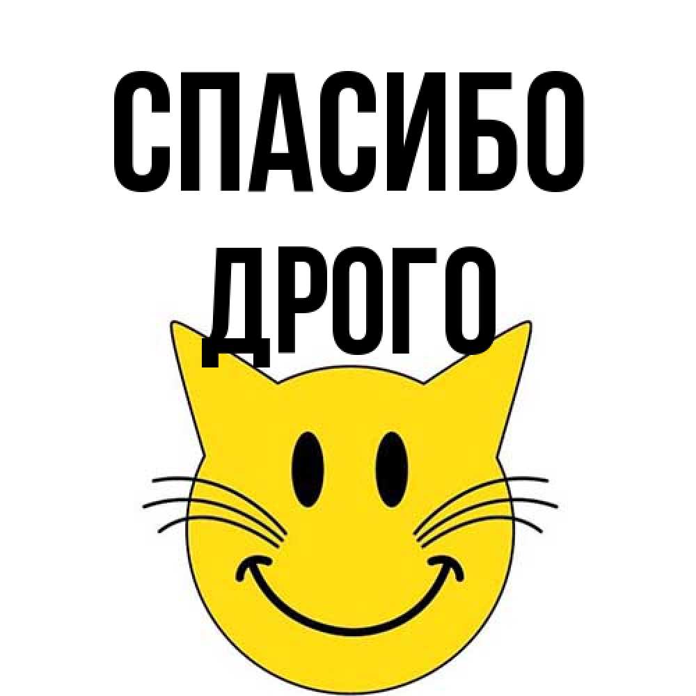Открытка на каждый день с именем, Дрого Спасибо улыбающийся смайл кот Прикольная открытка с пожеланием онлайн скачать бесплатно 