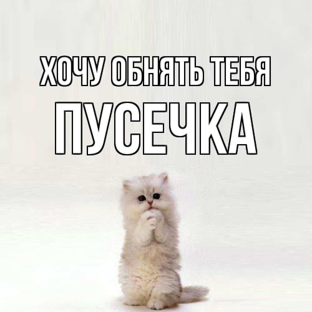 Открытка на каждый день с именем, Пусечка Хочу обнять тебя открытки с креативными подписями Прикольная открытка с пожеланием онлайн скачать бесплатно 