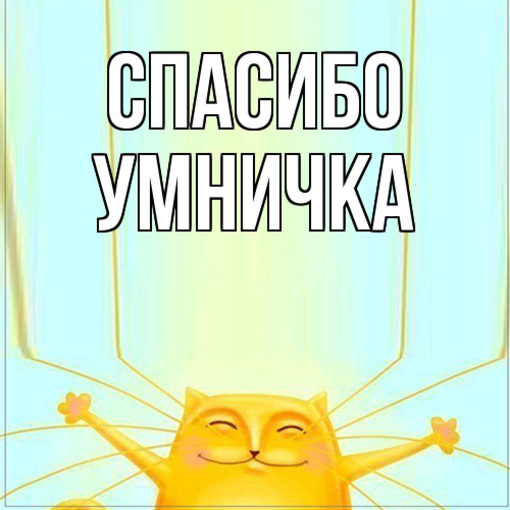 Открытка на каждый день с именем, Умничка Спасибо кот с усами благодарит Прикольная открытка с пожеланием онлайн скачать бесплатно 
