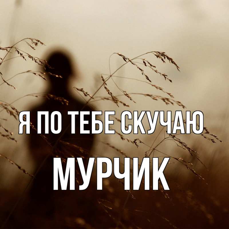 Картинка Я по тебе скучаю, Мурчик