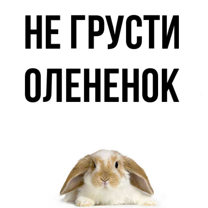 Картинка Не грусти, Олененок