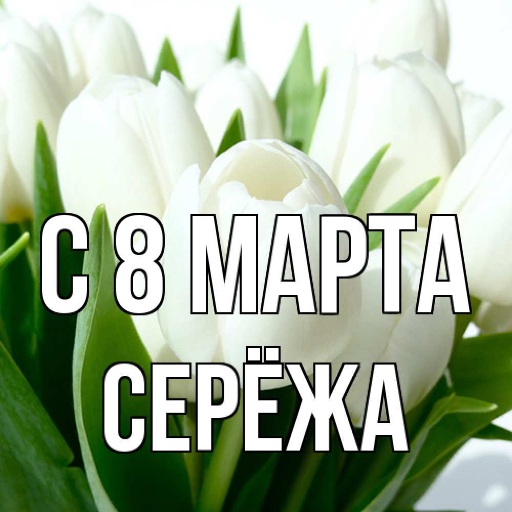 Открытка на каждый день с именем, Серёжа C 8 МАРТА цветы Прикольная открытка с пожеланием онлайн скачать бесплатно 