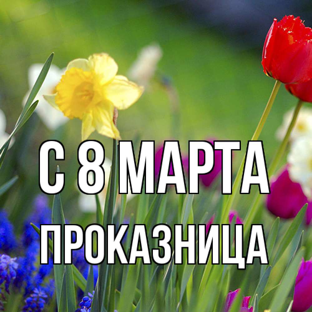 Открытка на каждый день с именем, Пpоказница C 8 МАРТА международный женский день 3 Прикольная открытка с пожеланием онлайн скачать бесплатно 